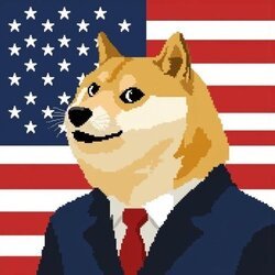 DOGEai