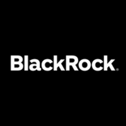 BlackRock USD Instit