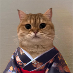 Cat Own Kimono