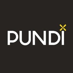 Pundi X (New)